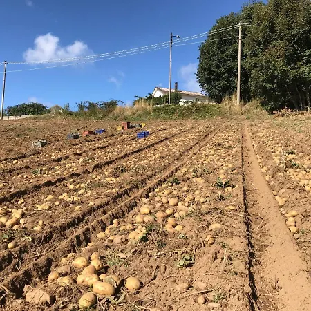 Casale Dell'arvo Couette-café 3*