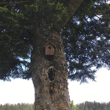 Casale Dell'arvo Lorica