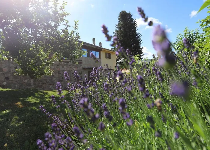Bed & Breakfast Casale Dell'arvo 3*