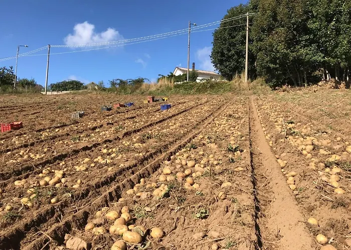 Casale Dell'arvo Panzió 3*