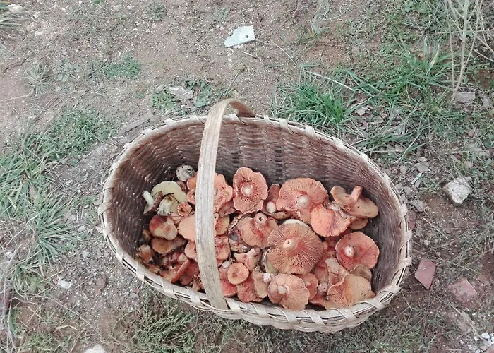 Casale Dell'arvo 3* Lorica