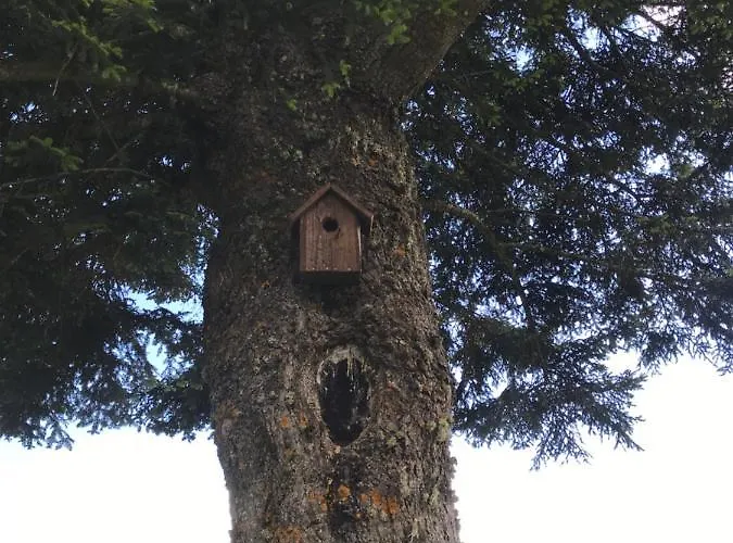 Casale Dell'arvo Lorica